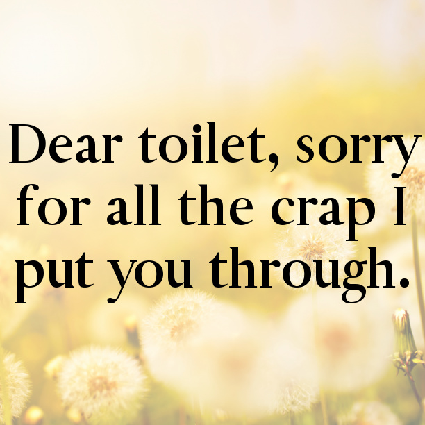 Funny Toilet Captions For Instagram