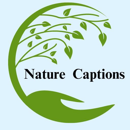 Nature Captions For Instagram